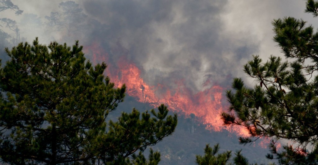 incendio-forestal-mexico