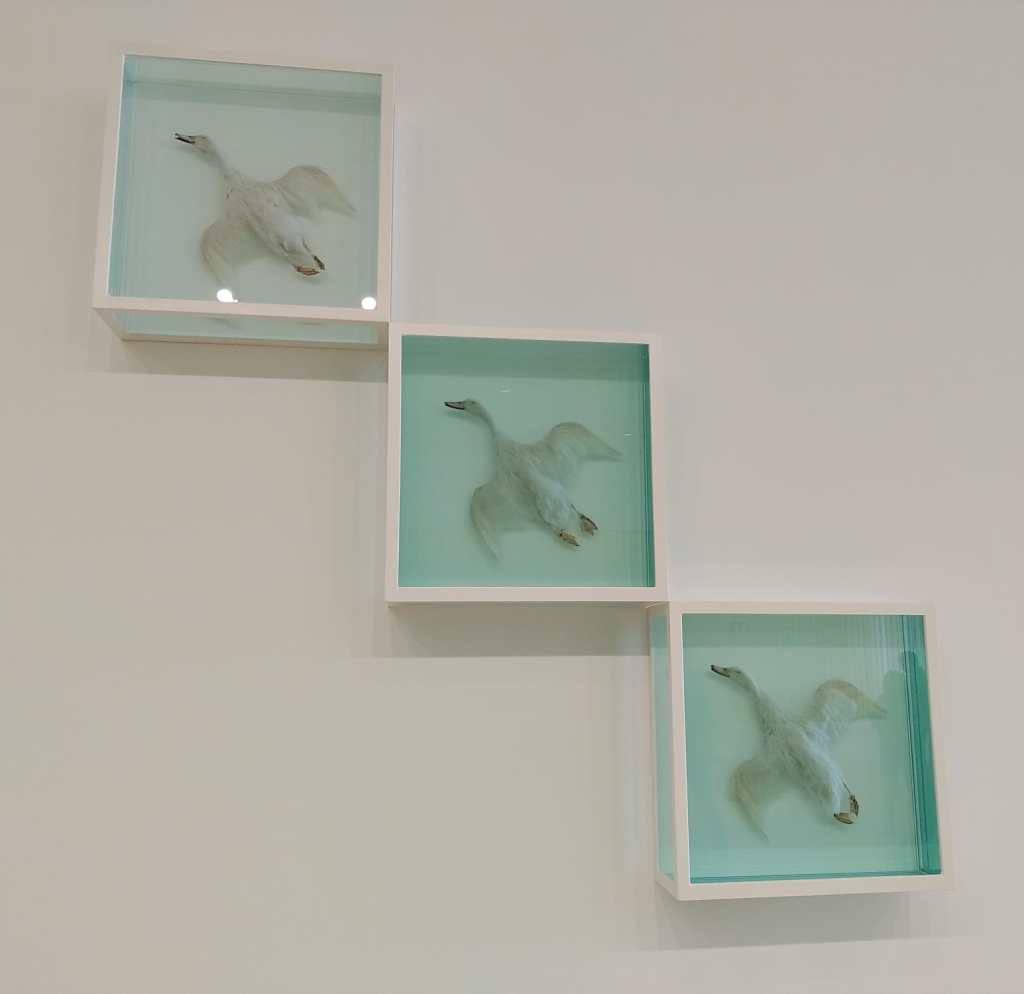 Exposición de Damien Hirst.