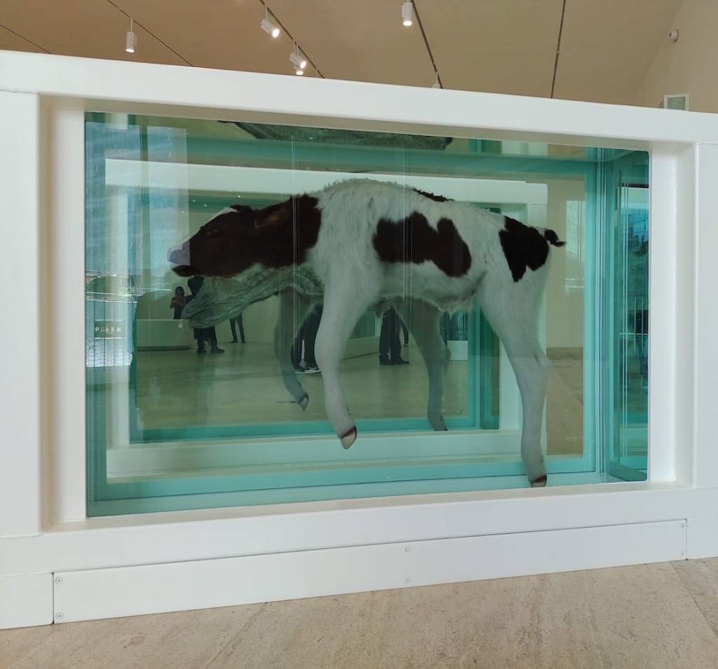 Exposición de Damien Hirst.