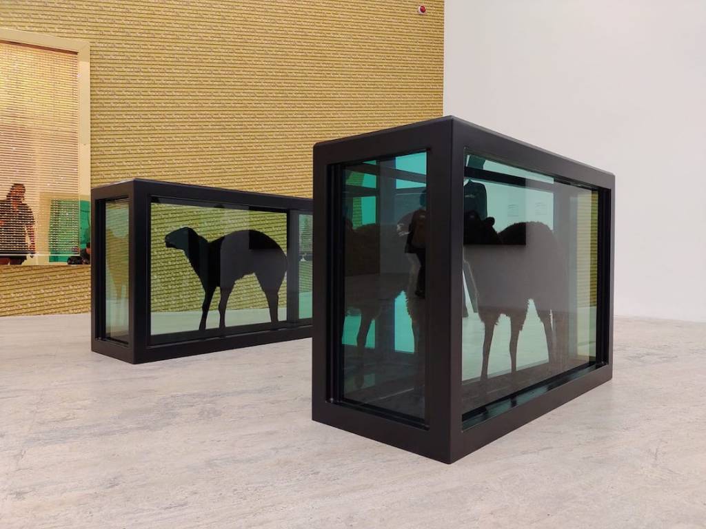 Exposición de Damien Hirst.