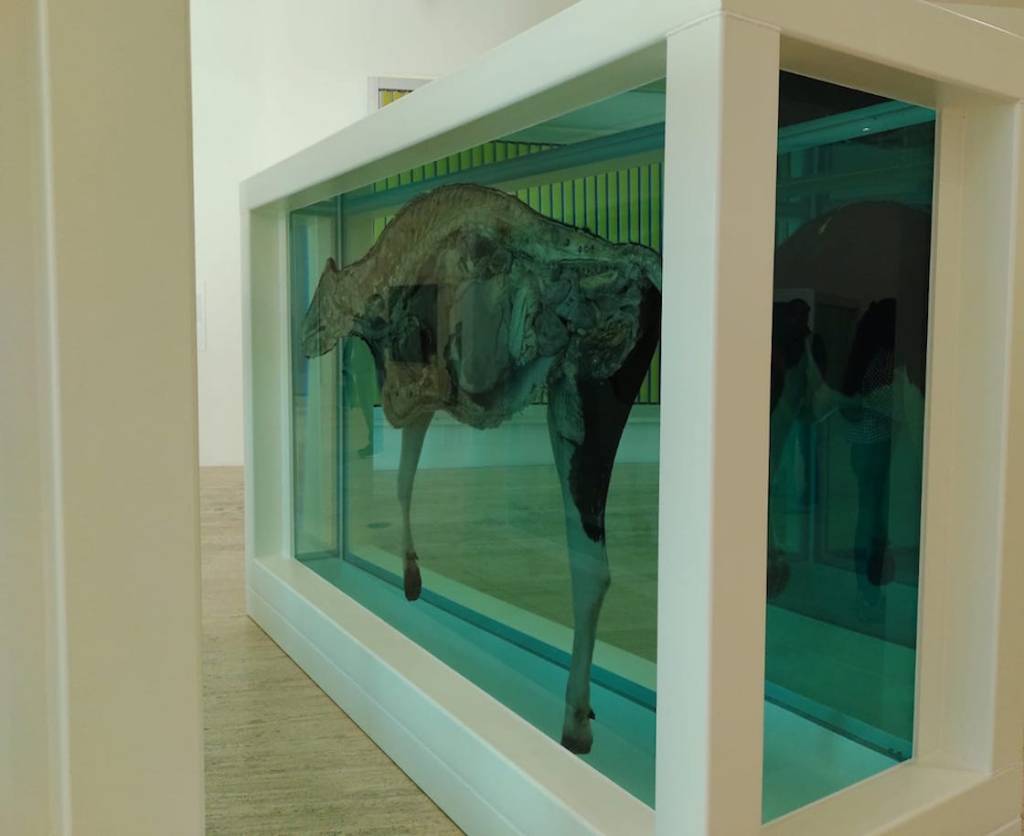 Exposición de Damien Hirst.