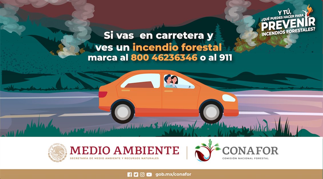 incendio-forestal-conafor-denuncia