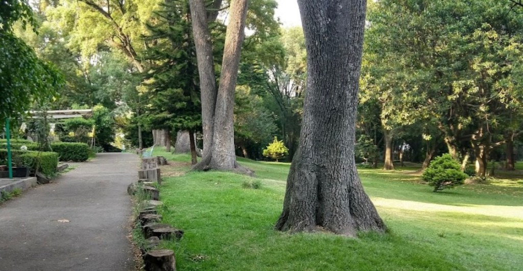 Date un rol por el Parque Loreto y Peña Pobre, nueva zona ambiental y bosque urbano de CDMX