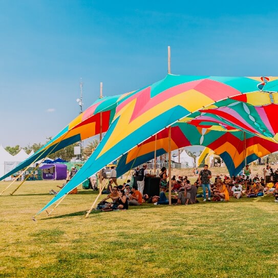 Jardines de México y el Festival Vaivén