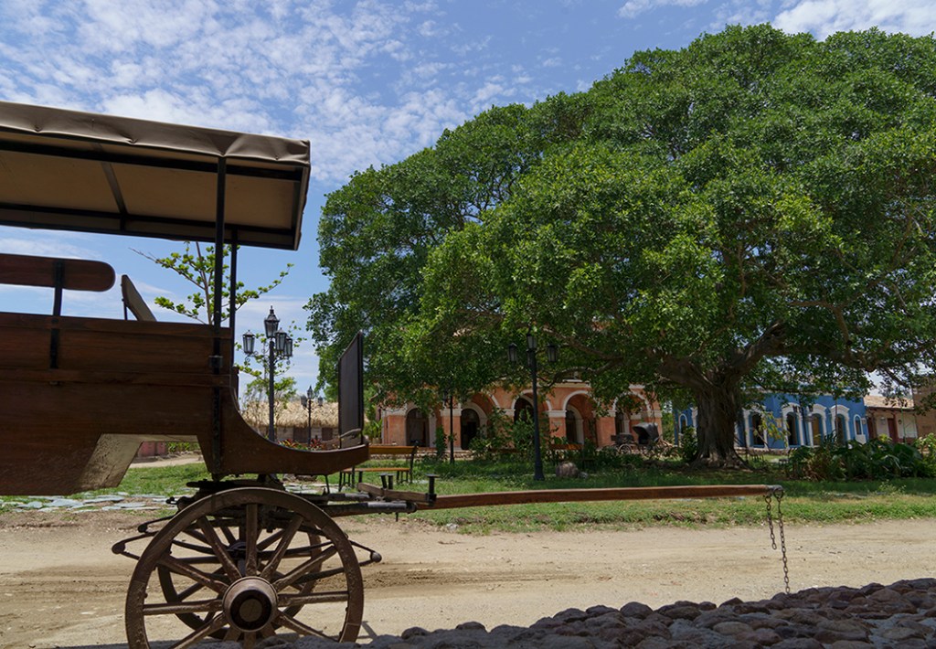 Imagen del árbol central de Macondo del set de 'Cien Años de Soledad'