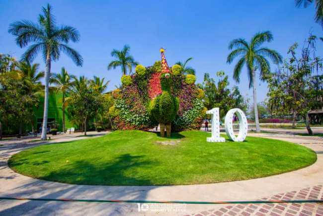 Jardines de México y el Festival Vaivén