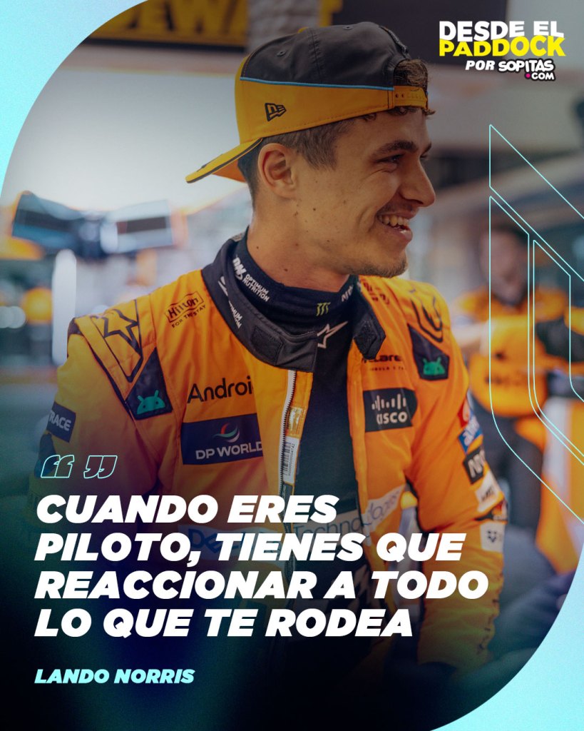 Lando Norris sobre Alonso