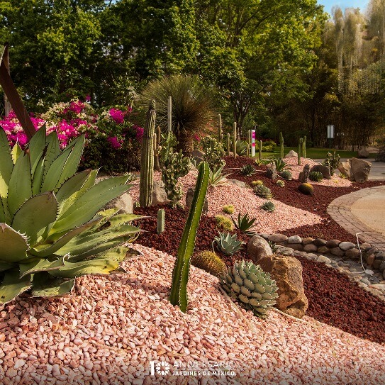 Jardines de México y el Festival Vaivén