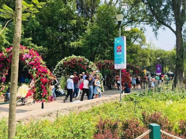 Todo lo que hay que saber sobre el Festival de Flores y Jardines de la CDMX