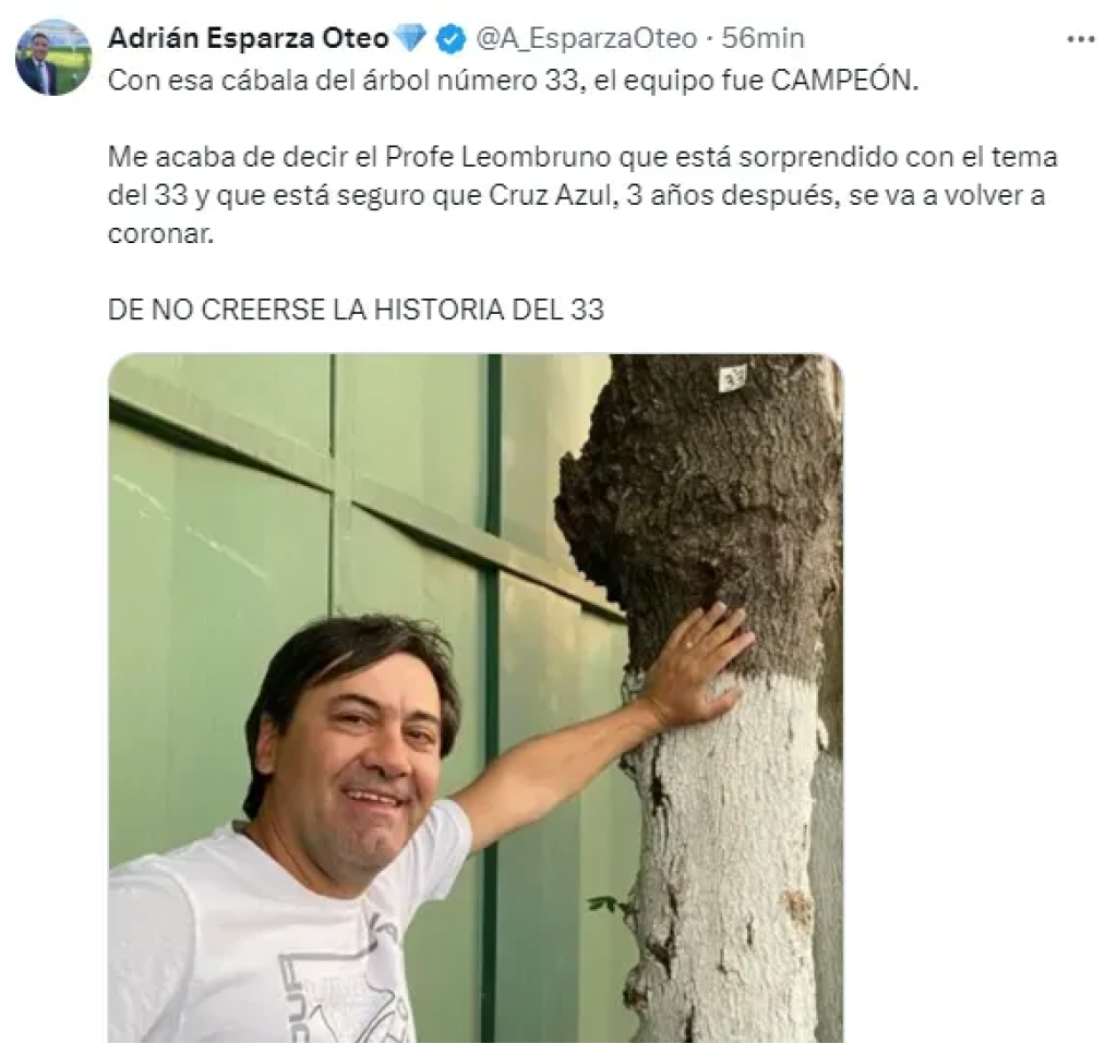 Arbol 33 en La Noria