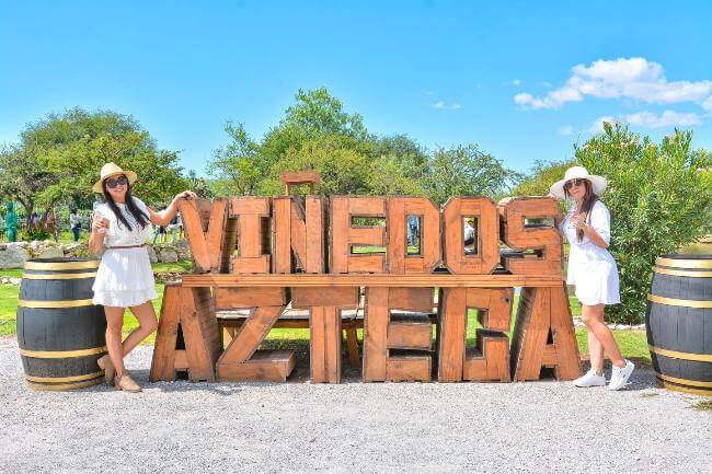 ¿Sin plan para el verano? 48 horas en los viñedos de Querétaro