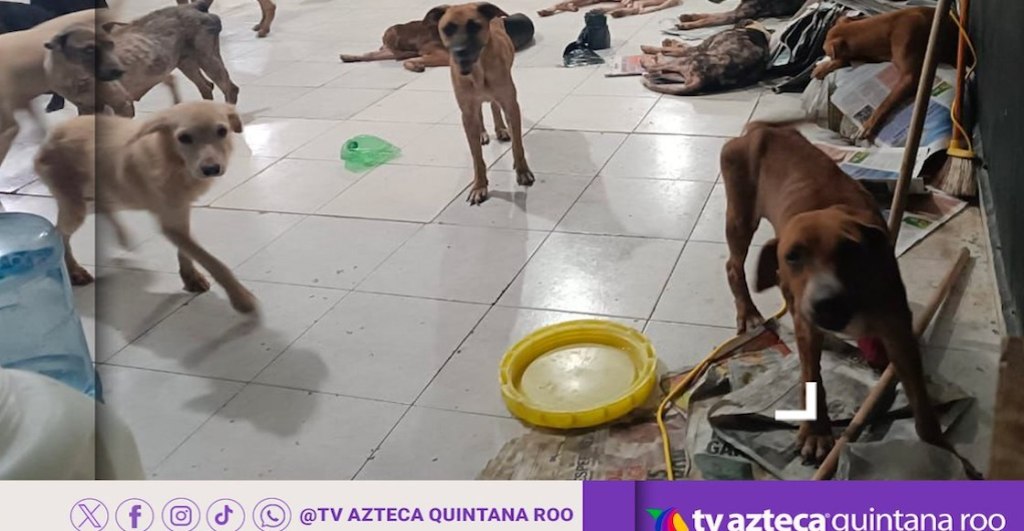 En imágenes: Así se preparó y amanece Quintana Roo por el huracán Beryl